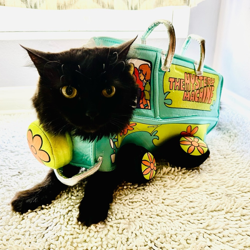 Scooby Doo Mystery Machine Dog/Cat Costume, Size XS. Only Worn Once!